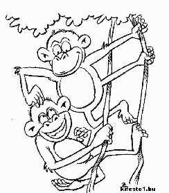 majmos 11 jtkok